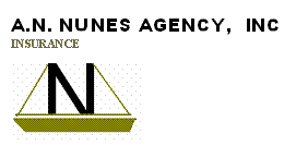 A N Nunes Agency, Inc.'s logo