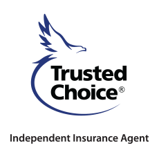 Pacific International Insurance, LLC's logo