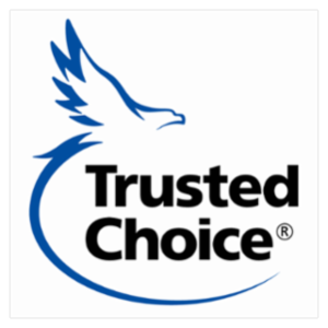 Visual Media Alliance Insurance Services's logo