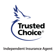 Skyway Security Ins.'s logo