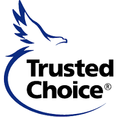 Thomas, Freeman & Giglio Agency's logo